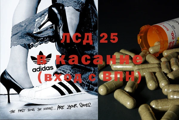 бошки Абинск