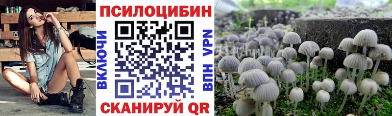 Галлюциногенные грибы GOLDEN TEACHER  Прокопьевск 