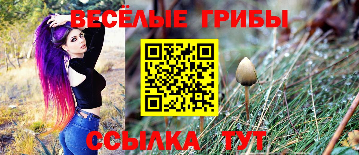 Прокопьевск  как найти закладки  Вход с VPN  Галлюциногенные грибы мицелий 