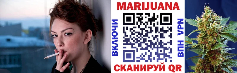 где найти наркотики  Прокопьевск  Бошки Шишки семена 